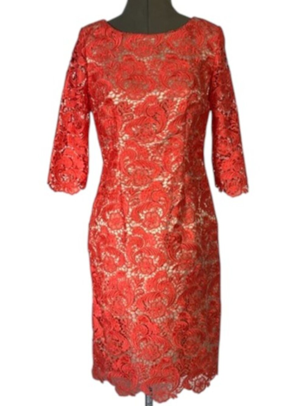 ELIZA J Coral Lace Sheath Dress: Timeless Elegance Meets Modern Size 4